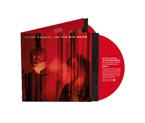 Peter Gabriel - In The Big Room
