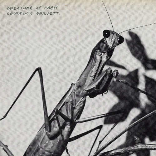 Courtney Barnett - Creature of Habit