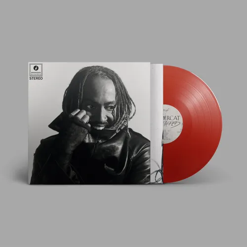 Thundercat - Distracted (Signed)