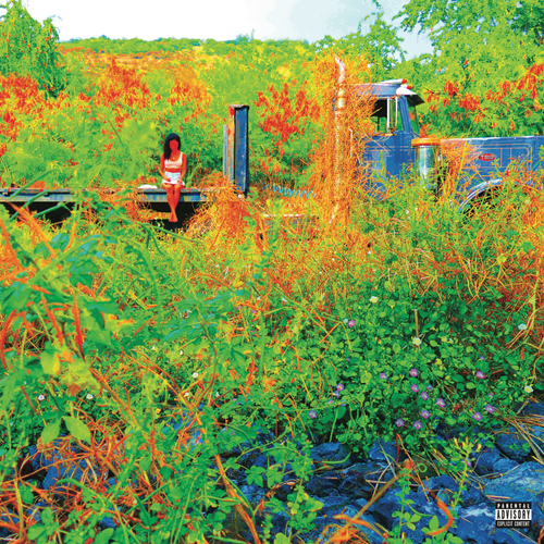 Jhene Aiko - Trip [RSD 2026] | RECORD STORE DAY