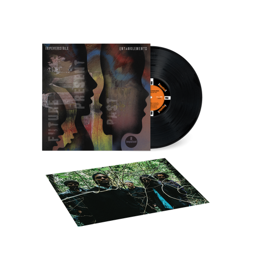 Irreversible Entanglements - Future Present Past [LP + Poster]
