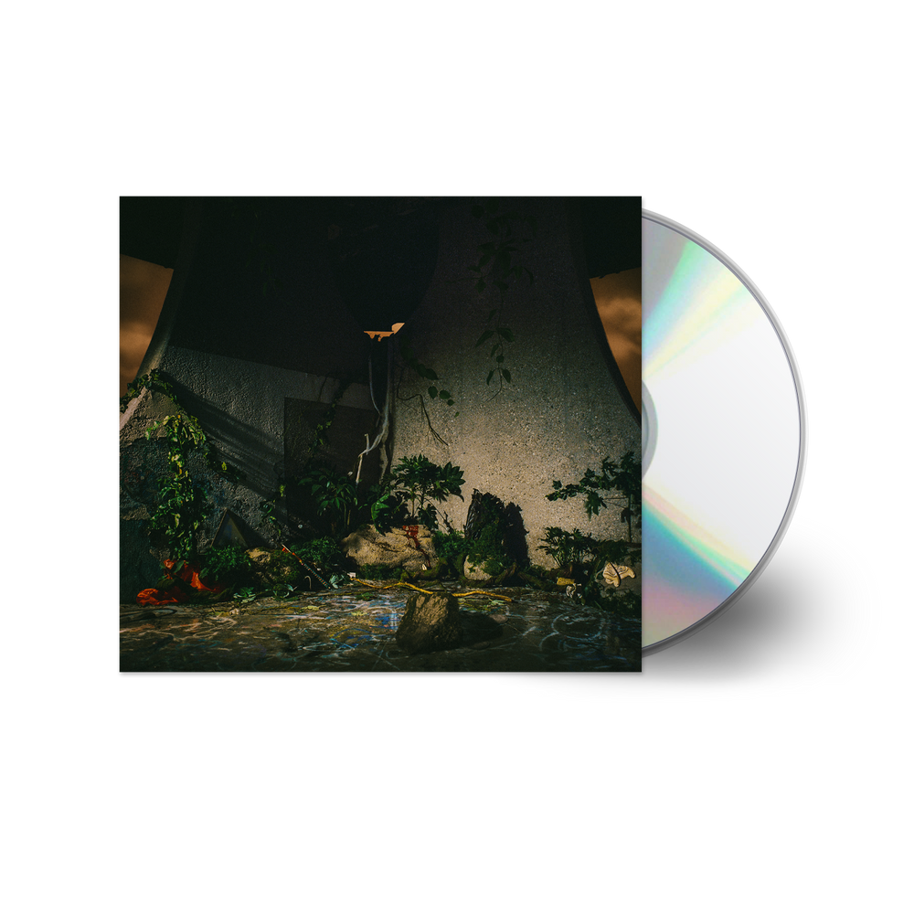 Album Art