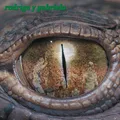 Out Now: Rodrigo Y Gabriela - 20th Anniversary Edition with bonus disc Re-Foc