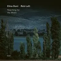 Reaching For The Moon