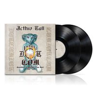 Jethro Tull - J-Tull Dot Com: Another Cast Of The Net [180g]