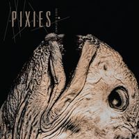 Pixies - Complete B Sides: 1988-97 [Indie Exclusive Clear]