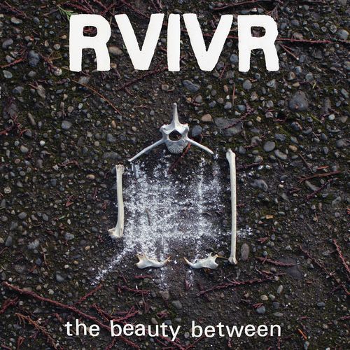 RVIVR - The Beauty Between [Black/Clear]