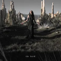 The Dark