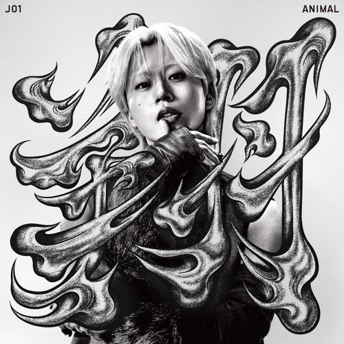 JO1 - ANIMAL [Member Solo Jacket Ver Syoya]