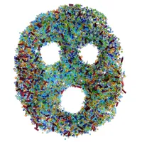 Poop Disco