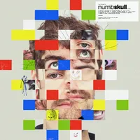 Numbskull