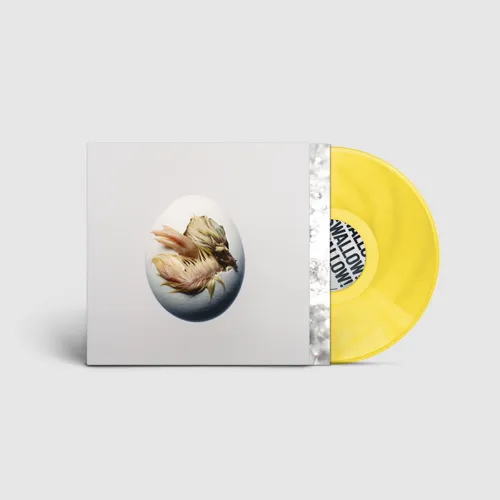Shygirl - SWALLOW! vinyl record cover