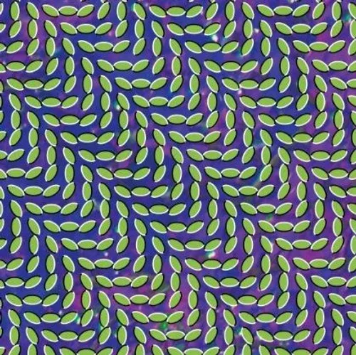 Animal Collective - Merriweather Post Pavilion