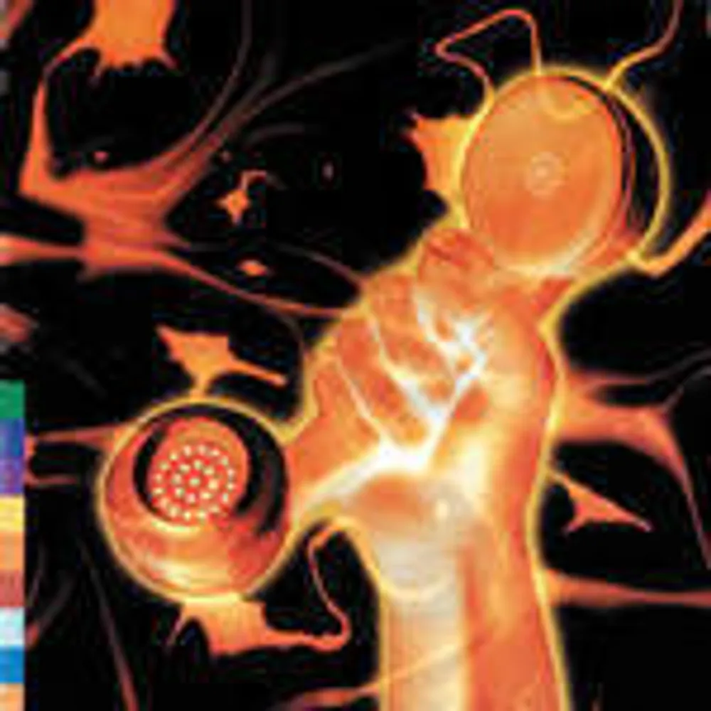Peter Gabriel - Secret World Live