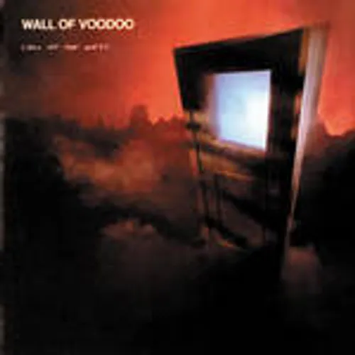 Wall Of Voodoo - Call Of The West