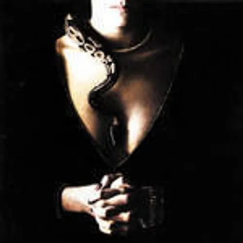 Whitesnake - Slide It In (35th Anniversary Remix) vinyl record cover