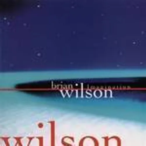 Brian Wilson - Imagination