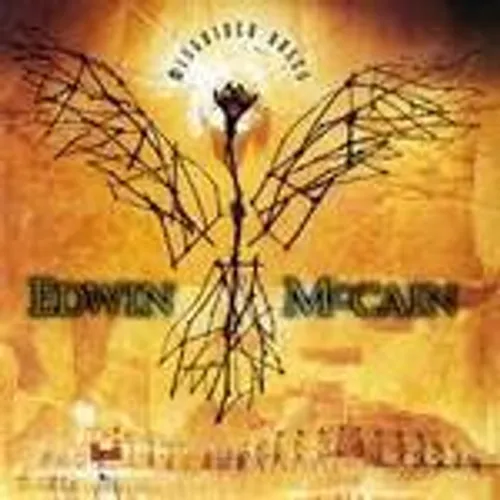 Edwin Mccain - Misguided Roses