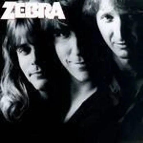 Zebra - Zebra vinyl record cover