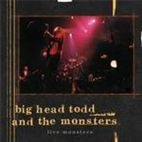 Big Head Todd & The Monsters - Live Monsters