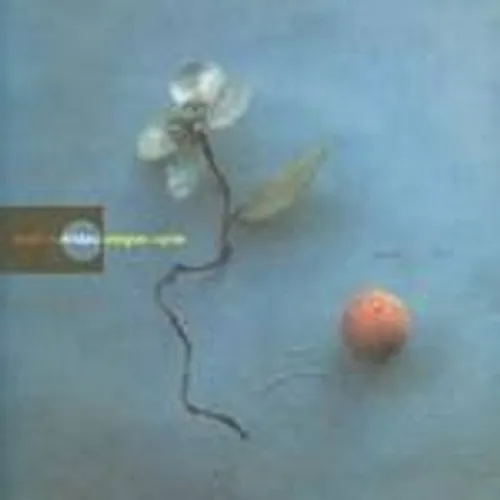 Brad Mehldau - Elegiac Cycles