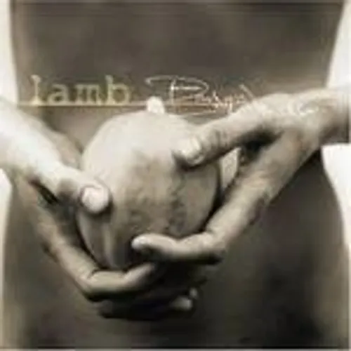 Lamb - Between Darkness & Wonder