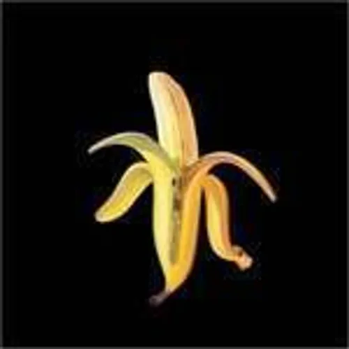 The Dandy Warhols - Welcome To The Monkey House