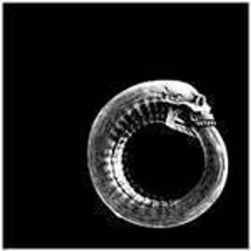 Turbonegro - Scandanavian Leather