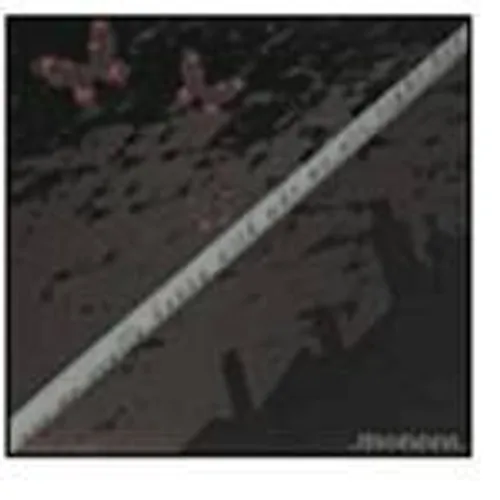 Moneen - Are We Really Happy with Who We Are Right Now vinyl record cover