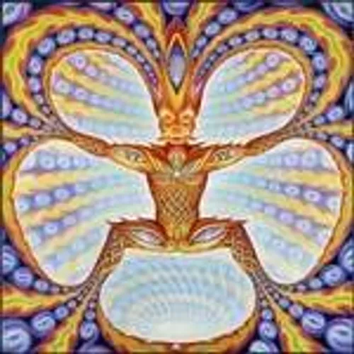 The String Cheese Incident - Untying The Not vinyl record cover