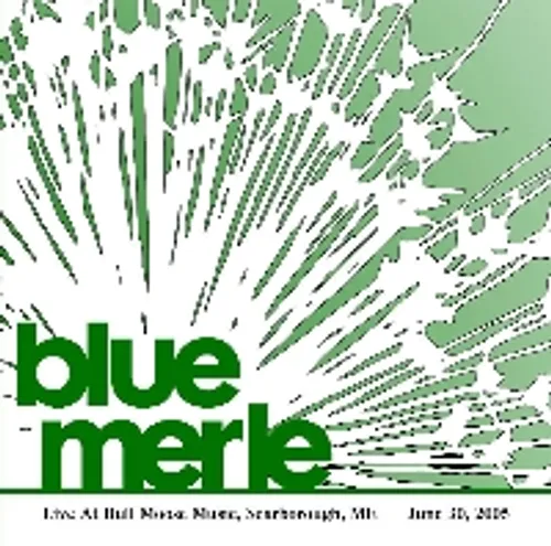 Blue Merle - Live at Bull Moose Music, Scarborough, ME June 30, 2005