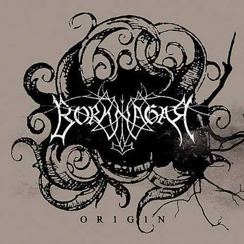Borknagar - Origin