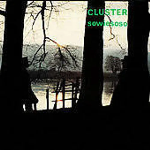Cluster - Sowiesoso vinyl record cover