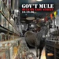 Mule On Easy Street 10.19.06