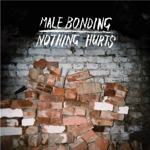 Male Bonding - Nothing Hurts vinyl record cover