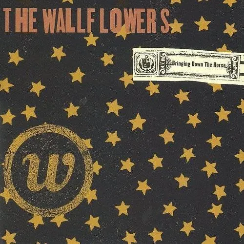 The Wallflowers - Bringing Down the Horse vinyl record cover
