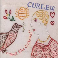 Meet The Curlews!