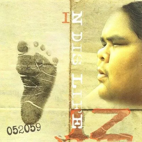 Iz Israel Kamakawiwoole - N Dis Life vinyl record cover
