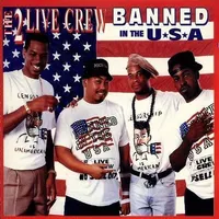 Banned In The Usa (clean)