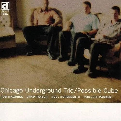 Chicago Underground Trio - Possible Cube vinyl record cover