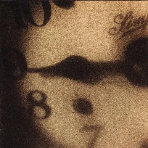 Mark Kozelek - Rock N' Roll Singer vinyl record cover