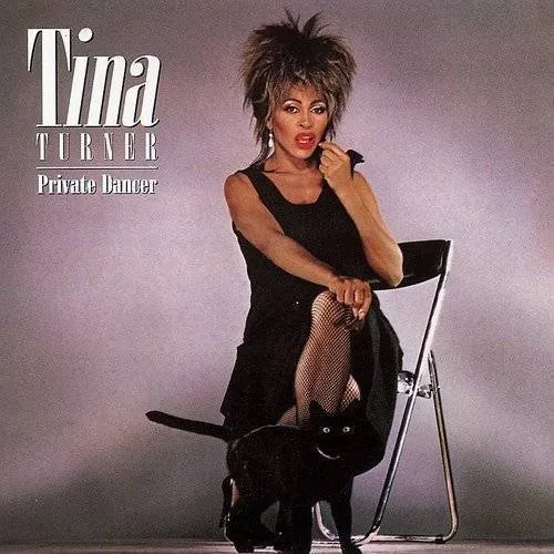 Tina Turner - Private Dancer vinyl record cover