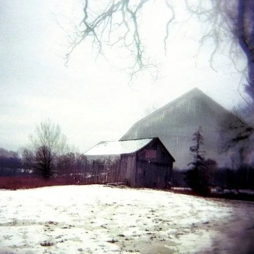 Horse Feathers - House with No Home vinyl record cover