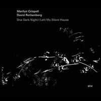 One Night I Left My Silent House
