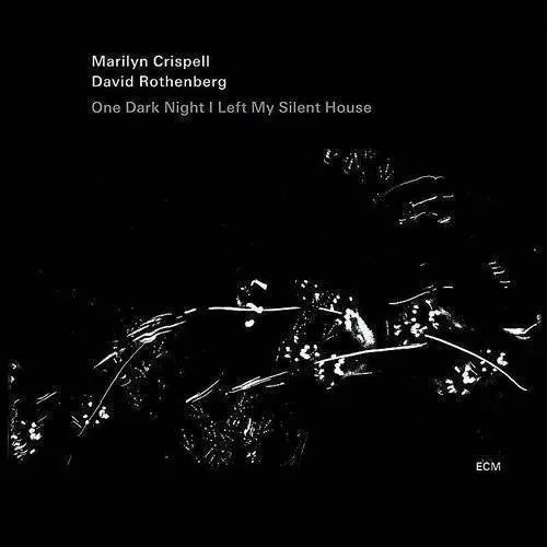 Crispell/Rothenberg - One Night I Left My Silent House vinyl record cover