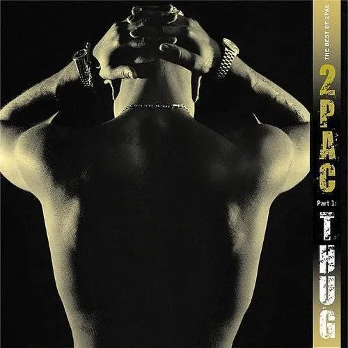 2pac - Best of 2Pac - PT. 1: Thug vinyl record cover