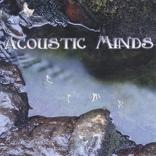 Acoustic Minds - Time vinyl record cover