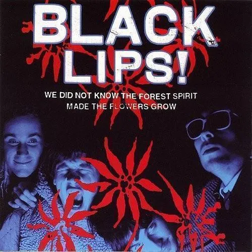 The Black Lips - We Did Not Know The Forest Spirit Made The Flowers Grow vinyl record cover