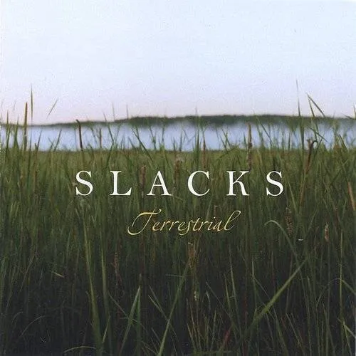 Slacks - Terrestrial vinyl record cover