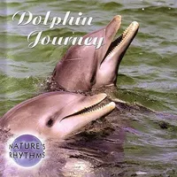 Nature's Rhythms: Dolphin Journey / Various